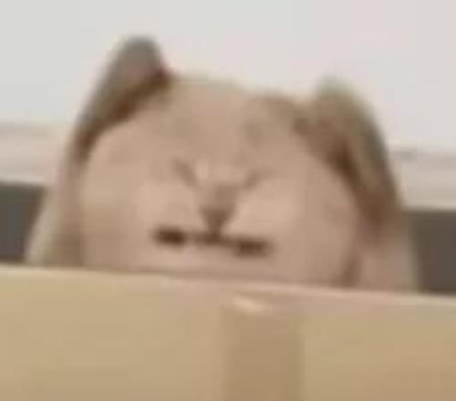 蘇亞雷斯坦,比賽前藥物,與注射成必,万博,ManBetX,万博官网,万博体育官网,万博体育下载,万博APP